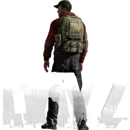 DayZ Server Kirala
